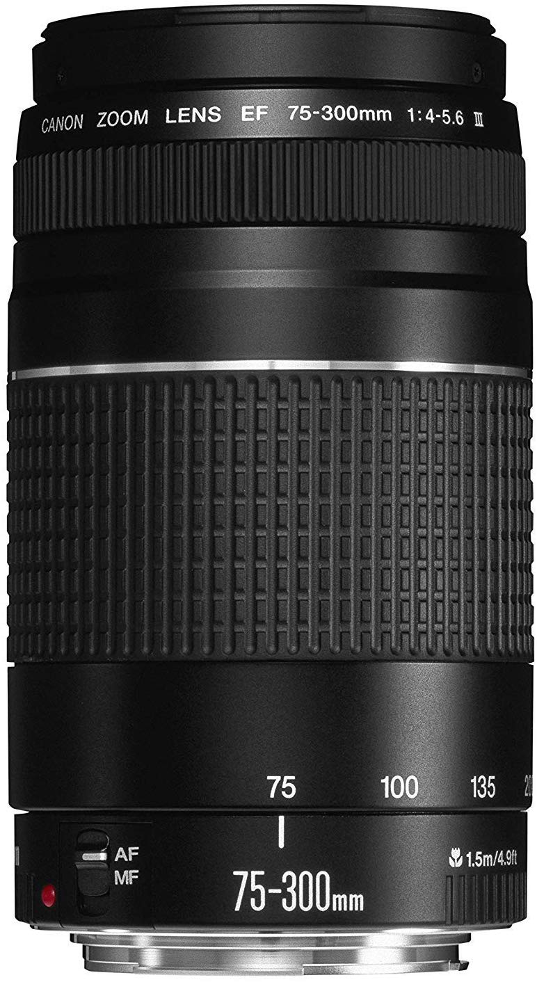 Catalog Electronics Cameras Lenses Canon Ef 75 300mm F 4 5 6 Iii Telephoto Zoom Lens For Canon Slr Cameras Sobigdeal The First Online Marketplace In The Horn Of Africa